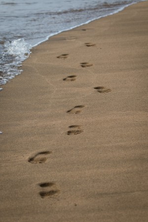 Footsteps at Beach   Maui Hawaii 2702